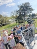 Delfinki w Muzeum Orła Białego 30.04.2025