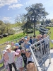 IMG-20250501-WA0097