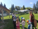 Delfinki w Muzeum Orła Białego 30.04.2025