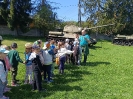 IMG-20250501-WA0166