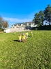 IMG-20241008-WA0011