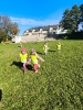 IMG-20241008-WA0012