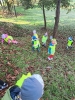 IMG-20241008-WA0020