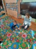 IMG_20241031_090414