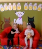 Dzień Kota u Pszczółek -17.02.25r.