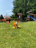 IMG_9206