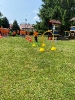 Dzień Sportu 04.06.2025