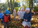 Jesień i grupa Pszczółki w ogrodzie przedszkolnym -18.10.2024