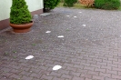 Poszukiwanie wielkanocnych niespodzianek u Pszczółek 16.04.2025r.