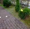 Poszukiwanie wielkanocnych niespodzianek u Pszczółek 16.04.2025r.