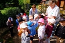 Pszczółki odwiedzają alpaki - 24.06.2025