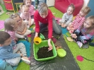 Sadzenie cebuli w grupie Smerfy - 28.03.2025