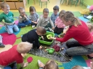 Sadzenie cebuli w grupie Smerfy - 28.03.2025