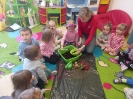 Sadzenie cebuli w grupie Smerfy - 28.03.2025