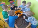 Sadzenie cebuli w grupie Smerfy - 28.03.2025