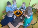 Sadzenie cebuli w grupie Smerfy - 28.03.2025