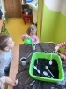 Sadzenie cebuli w grupie Smerfy - 28.03.2025