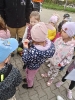 Skrzaty i Delfinki poznają pracę strażaka- 09.05.2025 r.
