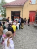 Skrzaty i Delfinki poznają pracę strażaka- 09.05.2025 r.