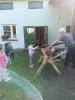 IMG_20240917_092608