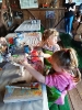 IMG_20240917_094405