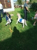 IMG_20240917_095329