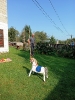 IMG_20240917_095614