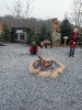 IMG_20241202_131223