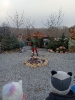 IMG_20241202_131610