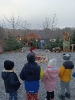 IMG_20241202_131743
