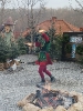 IMG_20241202_131923