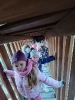 IMG_20241202_133052