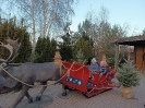 IMG_20241202_150142