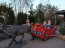 IMG_20241202_150212
