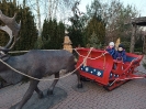 IMG_20241202_150333