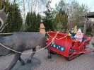 IMG_20241202_150401