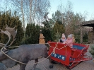 IMG_20241202_150505
