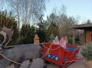 IMG_20241202_150523