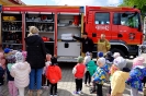 Smerfy i Pszczółki poznają pracę strażaka - 09.05.2025r.