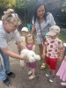 Smerfy odwiedzają alpaki - 23.06.2025