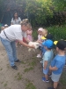 Smerfy odwiedzają alpaki - 23.06.2025
