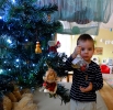 Świąteczny czas u Pszczółek -18.12.2024r.