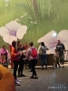 Wycieczka Delfinków z Rodzicami do Majalandu 23.05.2025