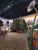 IMG-20250524-WA0064