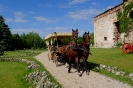 Wycieczka do Sobkowa - Pszczółki - 27.05.2025r.