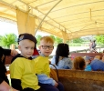 Wycieczka do Sobkowa - Pszczółki - 27.05.2025r.