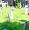 Wycieczka do Sobkowa - Pszczółki - 27.05.2025r.