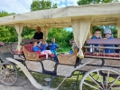 Wycieczka przedszkolaków - Delfinki - 27.05.2025