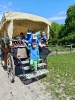 IMG-20250601-WA0112