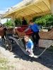IMG-20250601-WA0113